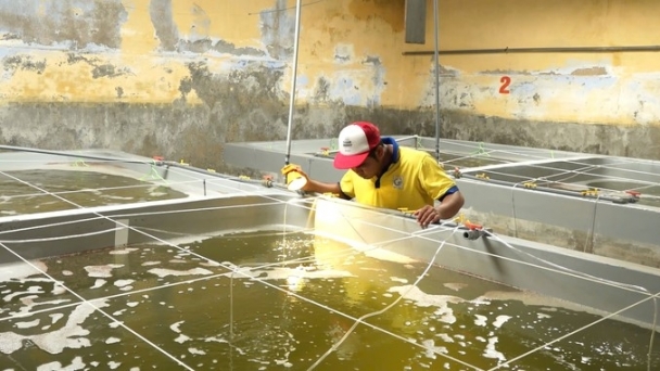 Ninh Thuan accounts for over 50% of the country's aquatic disease-free facilities